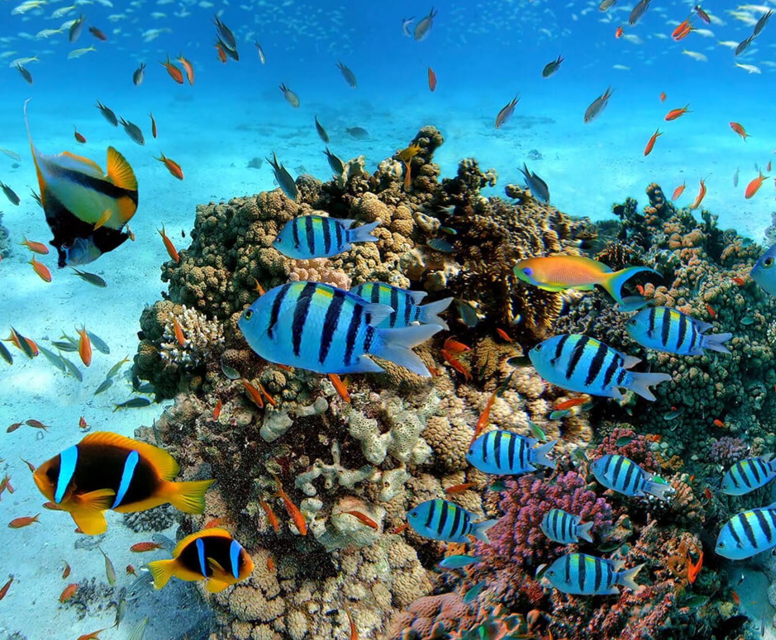 Trincomalee Paradise Tour 4 Days / 3 Nights Adventure