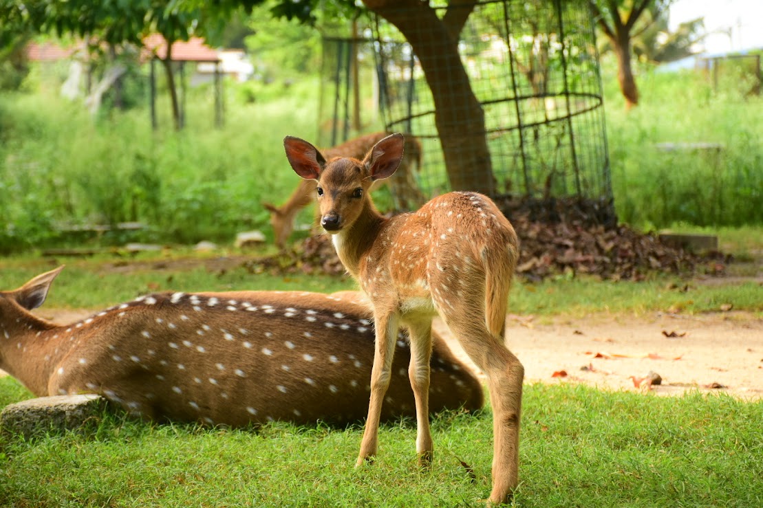 Trincomalee Escape Package 3 Days / 2 Nights